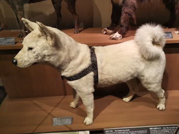 国立科学博物館に投稿された画像（2023/9/20）