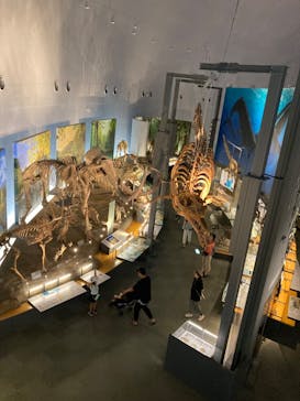 福井県立恐竜博物館に投稿された画像（2023/9/20）