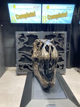 福井県立恐竜博物館に投稿された画像（2023/9/20）