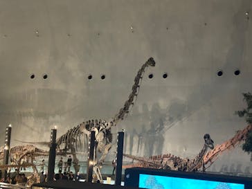 福井県立恐竜博物館に投稿された画像（2023/9/20）