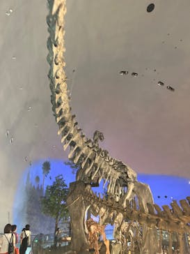福井県立恐竜博物館に投稿された画像（2023/9/20）