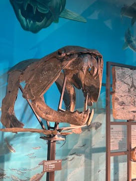 福井県立恐竜博物館に投稿された画像（2023/9/20）