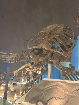 福井県立恐竜博物館に投稿された画像（2023/9/20）