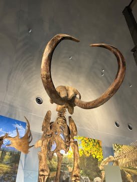 福井県立恐竜博物館に投稿された画像（2023/9/20）