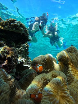 宮古島 ADVENTURE PiPi（ミヤコジマ アドベンチャー ピピ）に投稿された画像（2023/9/20）