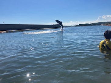日間賀島ドルフィンビーチに投稿された画像（2023/9/20）