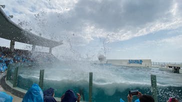 鴨川シーワールドに投稿された画像（2023/9/20）