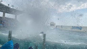 鴨川シーワールドに投稿された画像（2023/9/20）