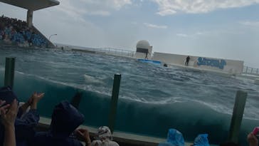 鴨川シーワールドに投稿された画像（2023/9/20）