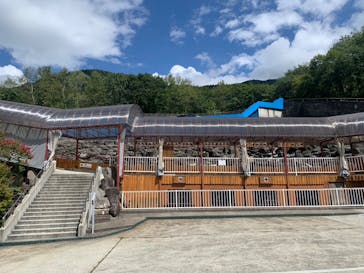 奥飛騨クマ牧場に投稿された画像（2023/9/20）