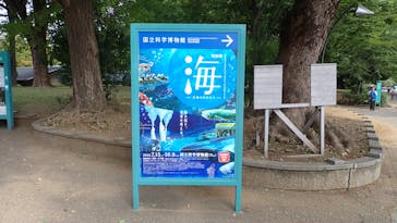 特別展「海　―生命のみなもと―」（国立科学博物館）に投稿された画像（2023/9/20）