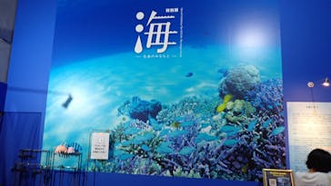特別展「海　―生命のみなもと―」（国立科学博物館）に投稿された画像（2023/9/20）
