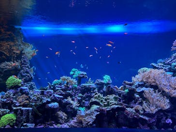 サンシャイン水族館に投稿された画像（2023/9/20）
