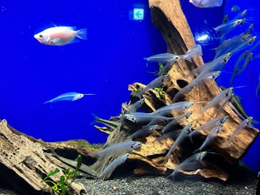 サンシャイン水族館に投稿された画像（2023/9/20）