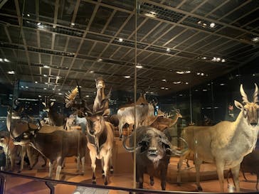 国立科学博物館に投稿された画像（2023/9/20）