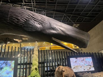 国立科学博物館に投稿された画像（2023/9/20）