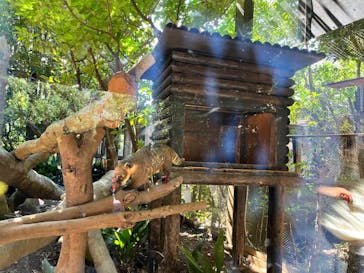 よこはま動物園ズーラシアに投稿された画像（2023/9/20）