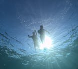 宮古島 ADVENTURE PiPi（ミヤコジマ アドベンチャー ピピ）に投稿された画像（2023/9/20）