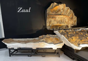 大阪市立自然史博物館に投稿された画像（2023/9/20）