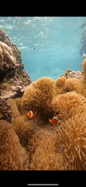 宮古島 ADVENTURE PiPi（ミヤコジマ アドベンチャー ピピ）に投稿された画像（2023/9/20）