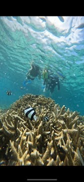 宮古島 ADVENTURE PiPi（ミヤコジマ アドベンチャー ピピ）に投稿された画像（2023/9/20）