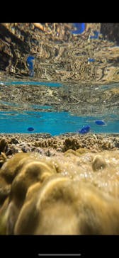 宮古島 ADVENTURE PiPi（ミヤコジマ アドベンチャー ピピ）に投稿された画像（2023/9/20）