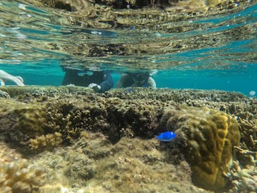 宮古島 ADVENTURE PiPi（ミヤコジマ アドベンチャー ピピ）に投稿された画像（2023/9/20）