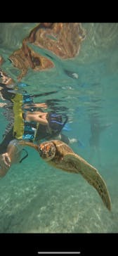 宮古島 ADVENTURE PiPi（ミヤコジマ アドベンチャー ピピ）に投稿された画像（2023/9/20）