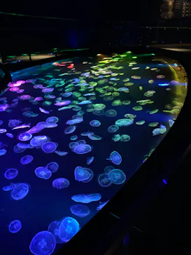 すみだ水族館に投稿された画像（2023/9/20）