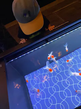 すみだ水族館に投稿された画像（2023/9/20）