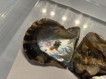 しながわ水族館に投稿された画像（2023/9/20）