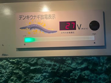 しながわ水族館に投稿された画像（2023/9/20）