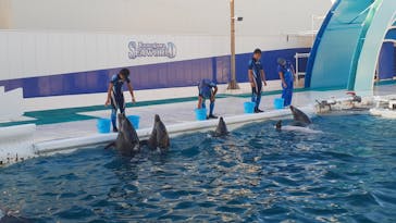 鴨川シーワールドに投稿された画像（2023/9/20）