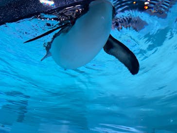 AOAO SAPPOROに投稿された画像（2023/9/21）