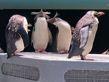 AOAO SAPPOROに投稿された画像（2023/9/21）