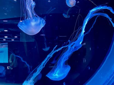 AOAO SAPPOROに投稿された画像（2023/9/21）