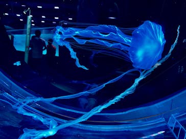 AOAO SAPPOROに投稿された画像（2023/9/21）