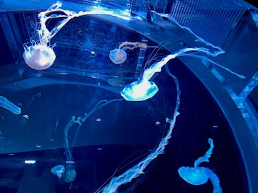 AOAO SAPPOROに投稿された画像（2023/9/21）