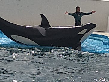 鴨川シーワールドに投稿された画像（2023/9/21）