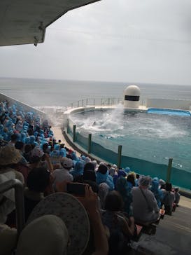 鴨川シーワールドに投稿された画像（2023/9/21）