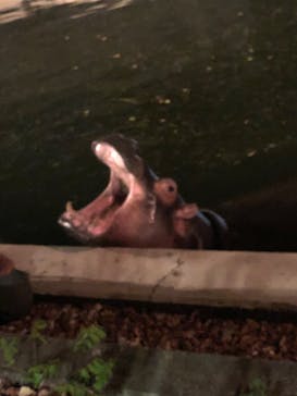 東武動物公園に投稿された画像（2023/9/21）