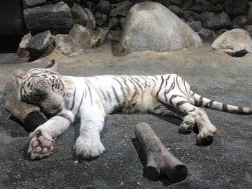 東武動物公園に投稿された画像（2023/9/21）