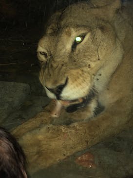 東武動物公園に投稿された画像（2023/9/21）