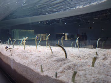 AOAO SAPPOROに投稿された画像（2023/9/21）