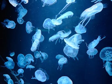 AOAO SAPPOROに投稿された画像（2023/9/21）