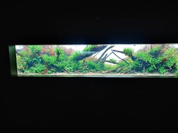 AOAO SAPPOROに投稿された画像（2023/9/21）