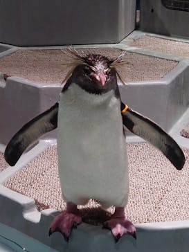 AOAO SAPPOROに投稿された画像（2023/9/21）