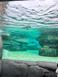 天王寺動物園に投稿された画像（2023/9/21）