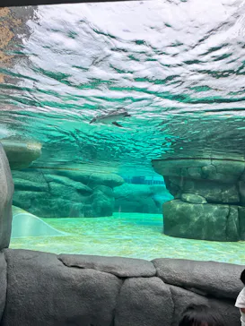 天王寺動物園に投稿された画像（2023/9/21）