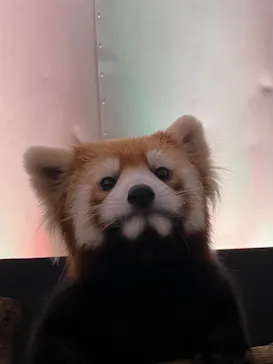 横浜・八景島シーパラダイスに投稿された画像（2023/9/21）